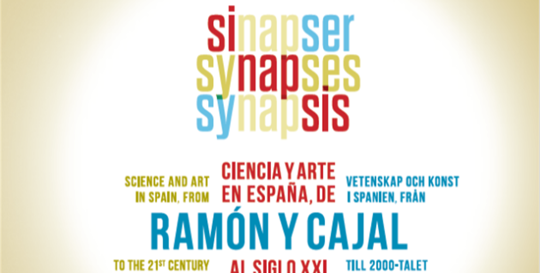 Sinapsis: Ciencia y Arte en España, de Ramón y Cajal al siglo XXI