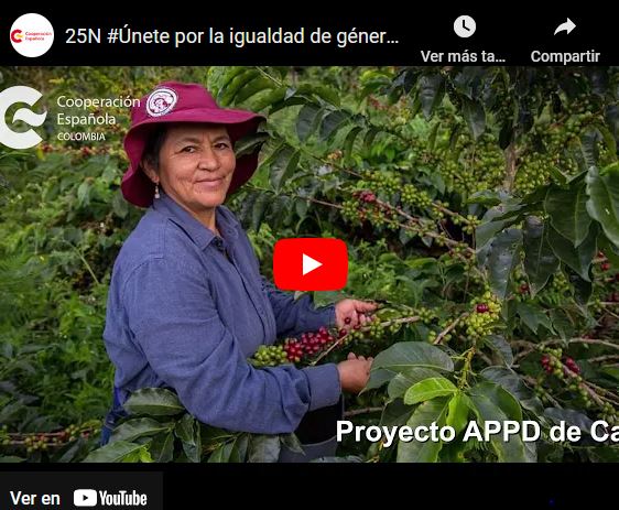 Captura de vídeo de Youtube 25N Día Internacional para la Eliminación de la Violencia contra las ...
