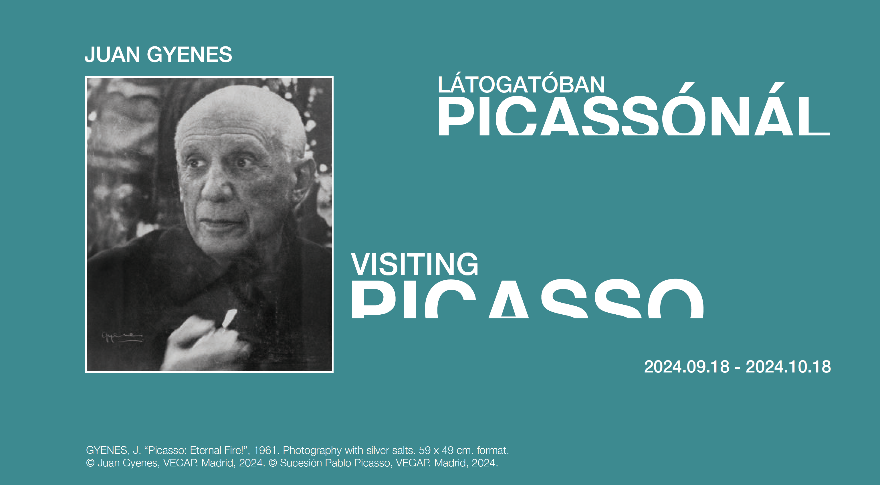 Picasso